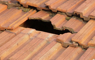 roof repair Burton End